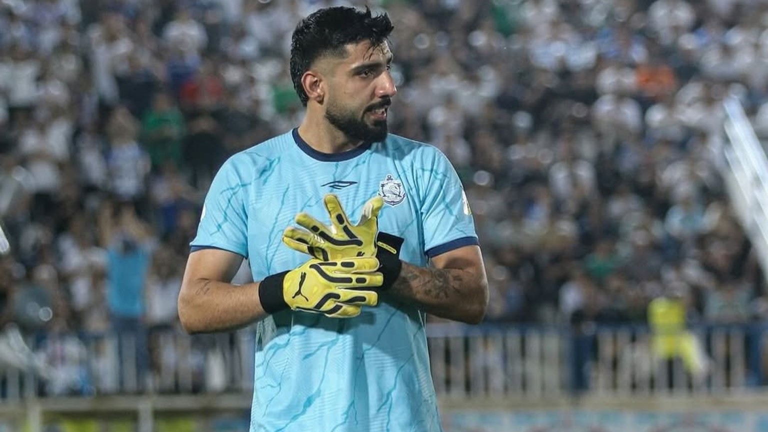 حبیب فرعباسی ملوان
