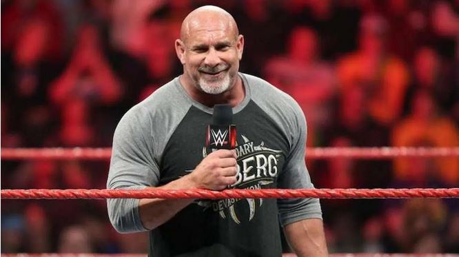 بیل گلدبرگ، ستاره کشتی کج و WWE