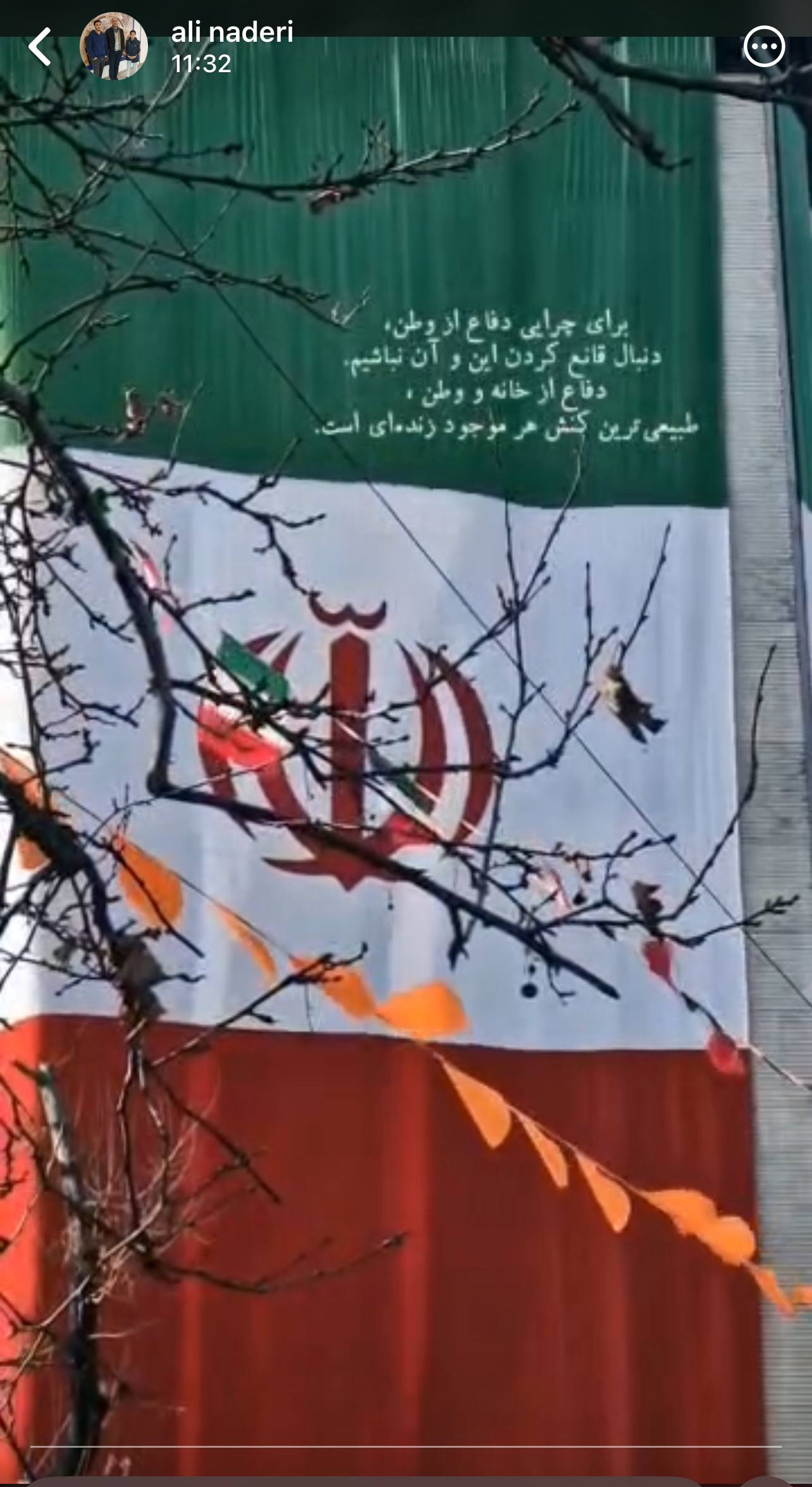 علی نادری