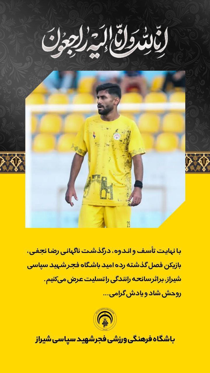 رضا نجفی